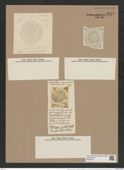 Stephanopyxis pulchra (= Coscinodiscus marginifer) W. et Ch. (de-Toni-Nr.: Genus 187, Species 4644) Zeichnungen Sammlung Grunow Nr. 8295 (NHMW-BOT-W0377693)